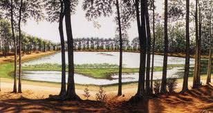 Cảnh đẹp trà vinh